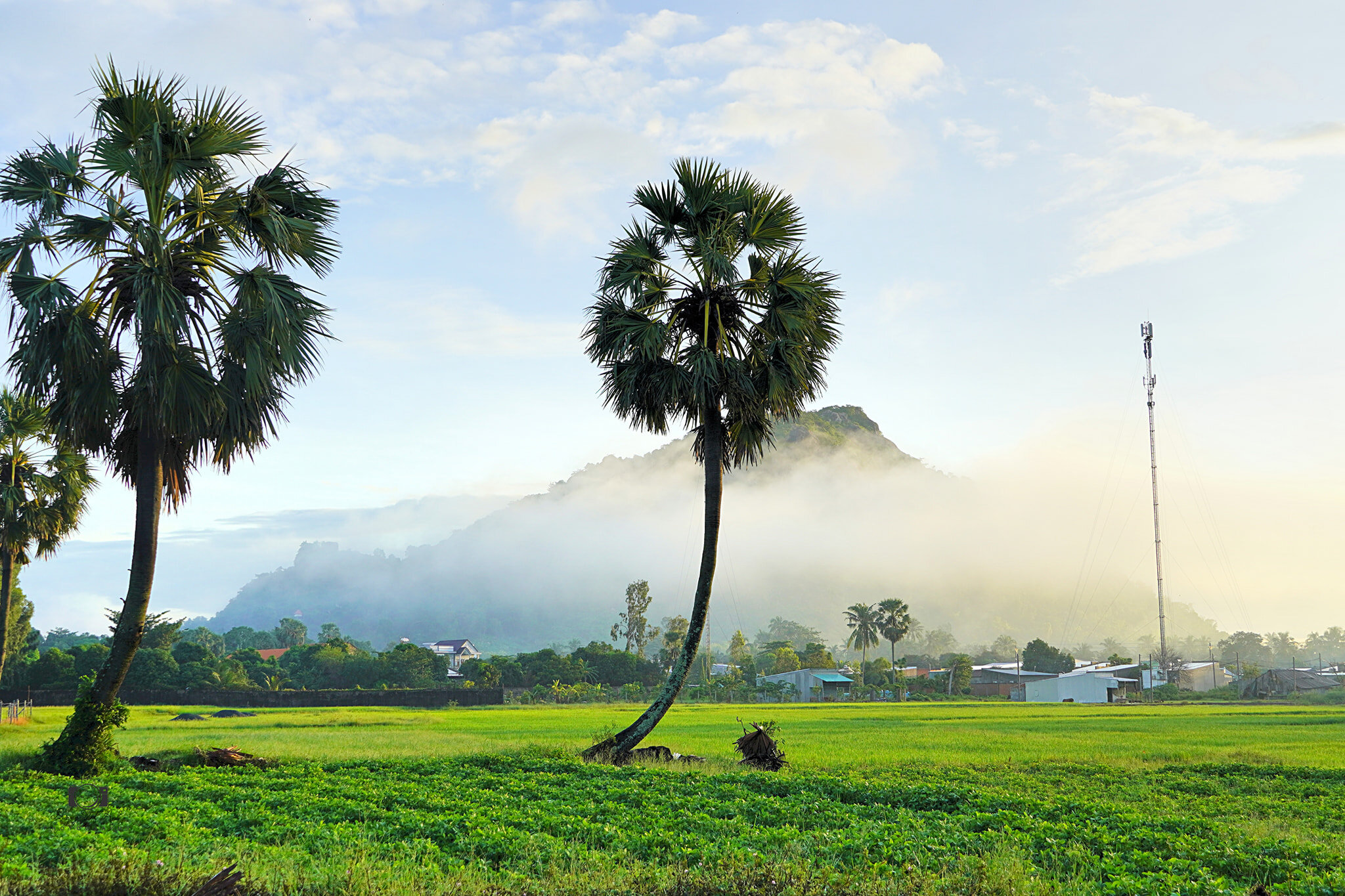 Begin your An Giang Tours with a scenic adventure